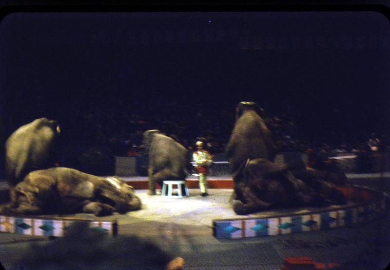 1959_04_Circus0002.JPG