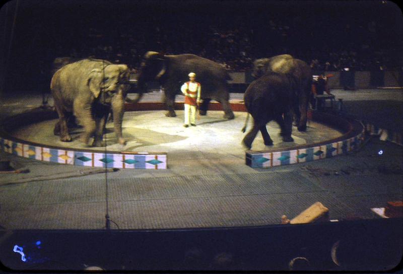 1959_04_Circus0004.JPG