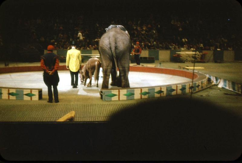 1959_04_Circus0005.JPG