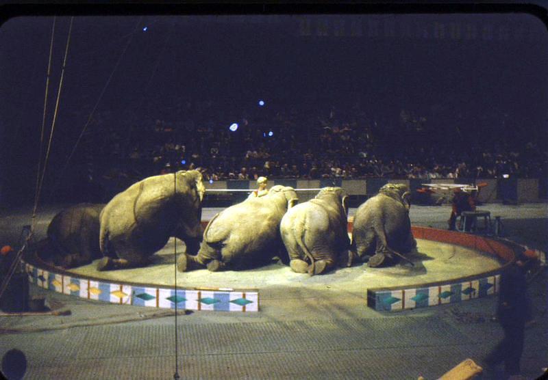 1959_04_Circus0007.JPG