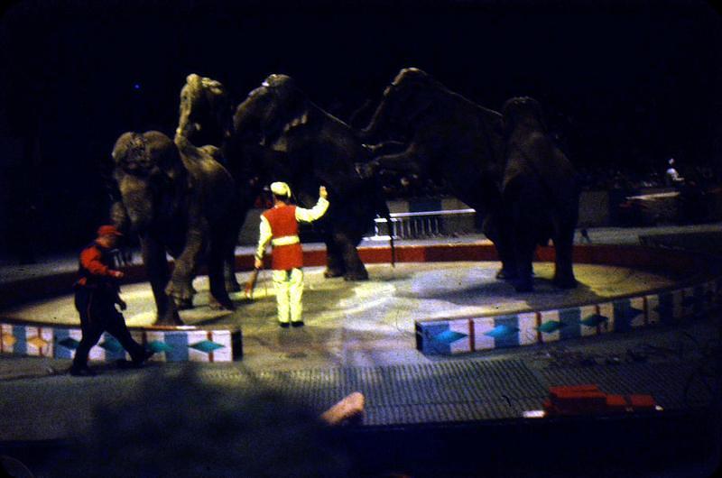 1959_04_Circus0008.JPG