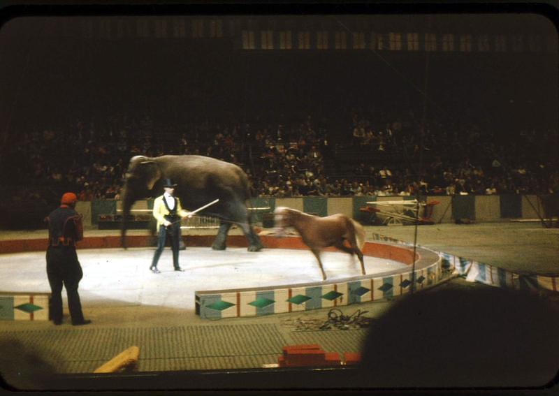 1959_04_Circus0013.JPG