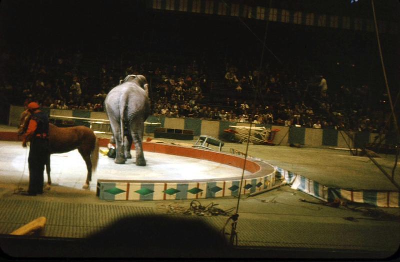 1959_04_Circus0017.JPG