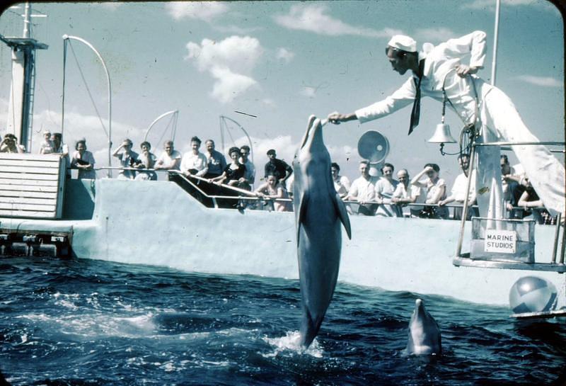 Undated_Marinland0003.JPG