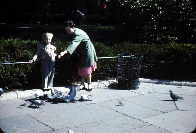 Undated_CentralPark0000.JPG