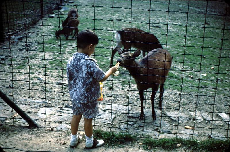 Undated_Zoo0019.JPG