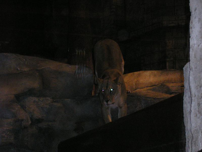 PC130152.jpg
