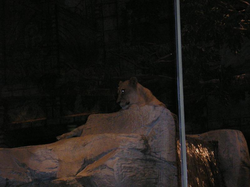PC130153.jpg
