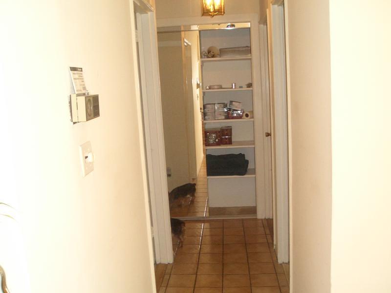 CIMG0223.jpg