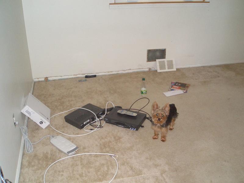 CIMG0236.jpg