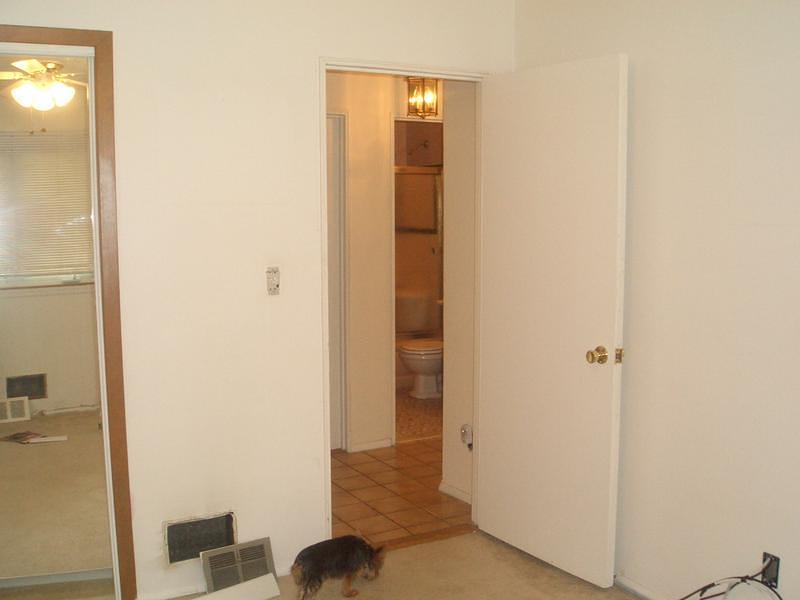 CIMG0239.jpg