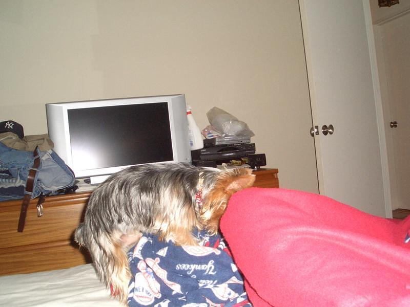 CIMG0414.jpg