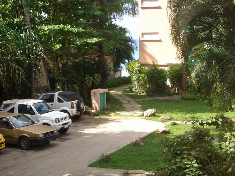 CIMG0738.JPG
