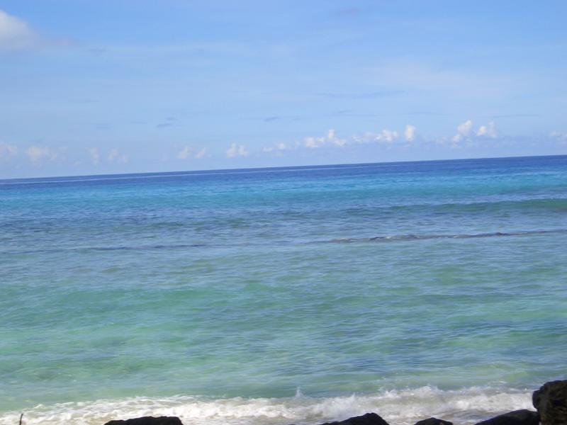 CIMG0743.JPG