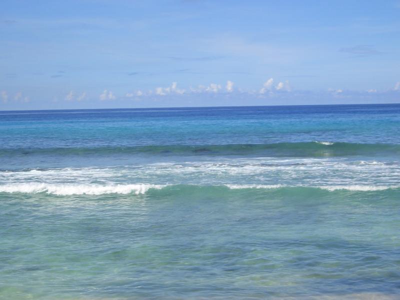 CIMG0744.JPG