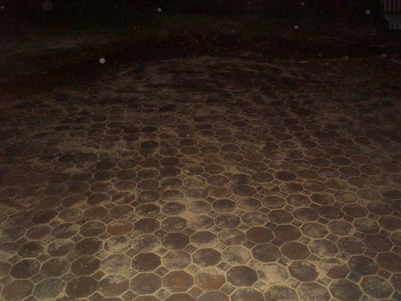 CIMG0680.JPG