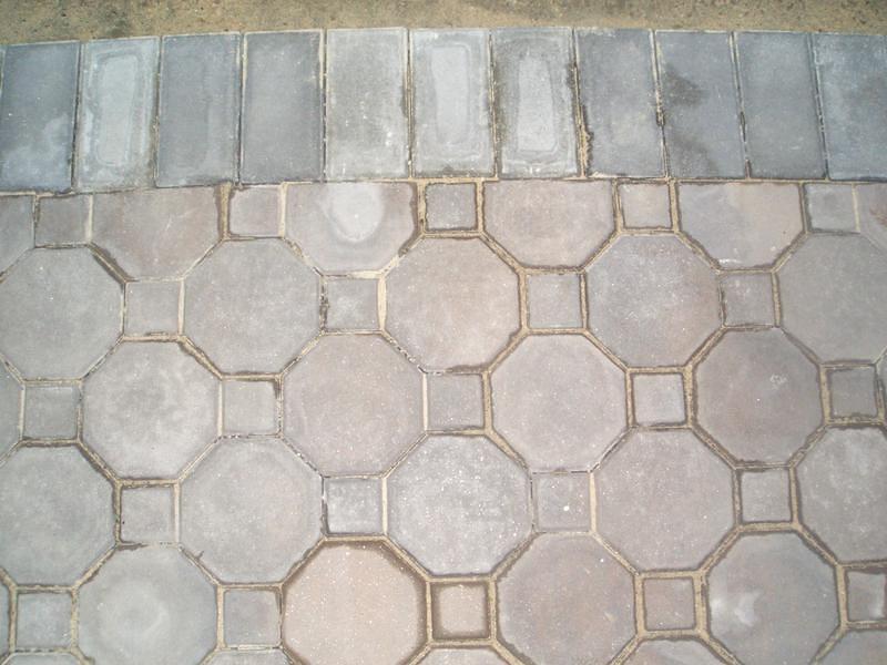 CIMG0688.JPG