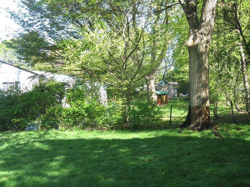 IMG_0455.jpg