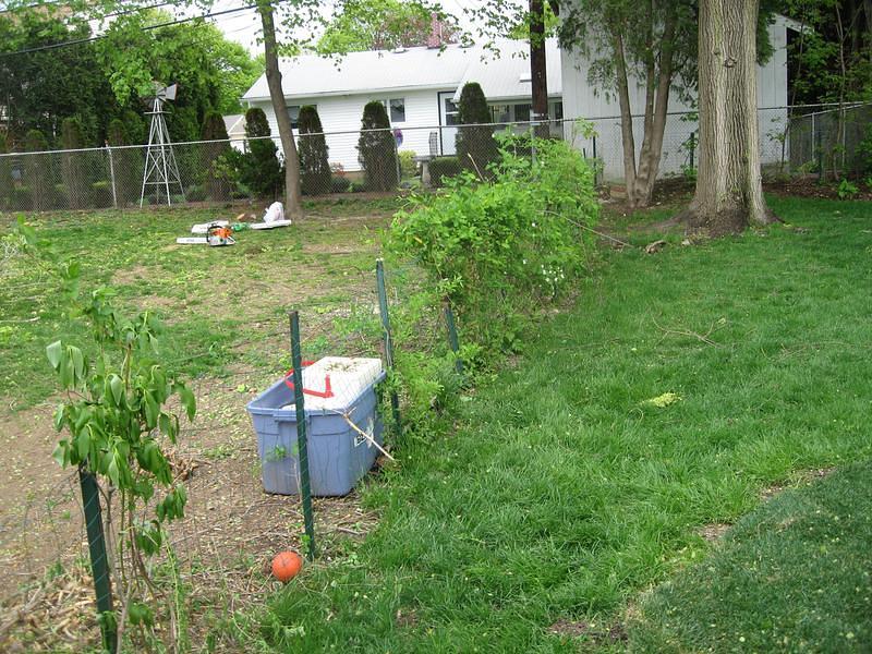 IMG_0466.jpg