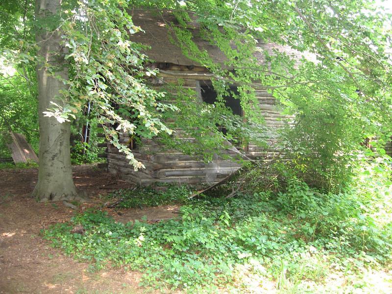 IMG_0745.jpg