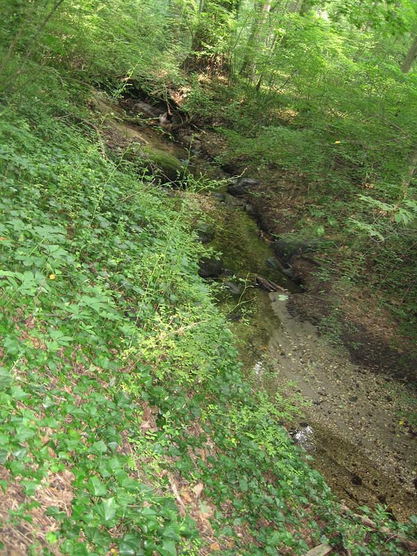 IMG_0759.jpg