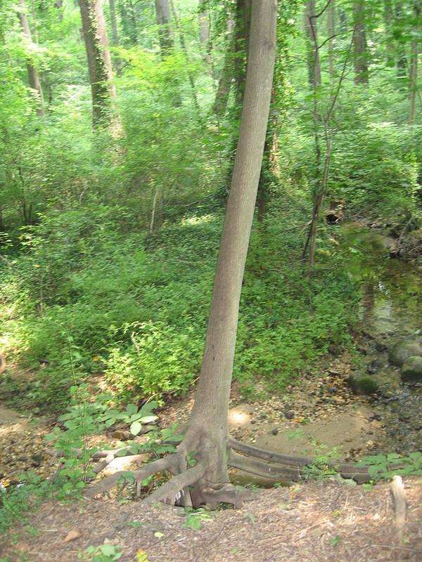 IMG_0762.jpg