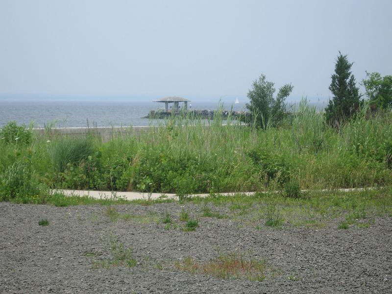 IMG_0794.jpg