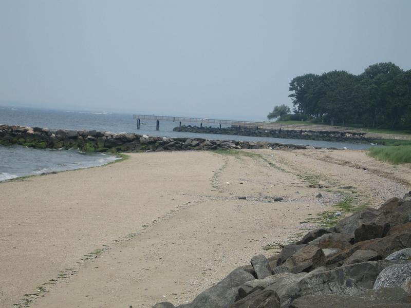 IMG_0800.jpg
