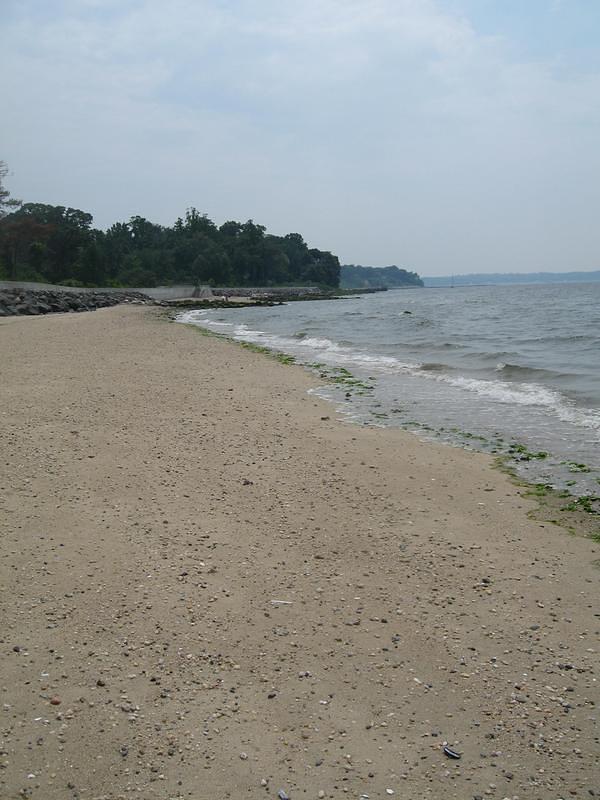 IMG_0818.jpg