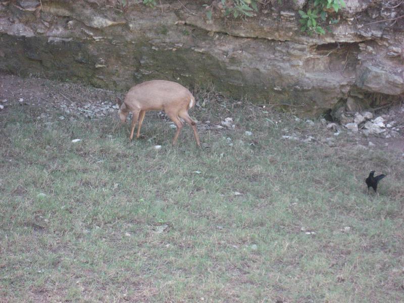 IMG_2135.JPG