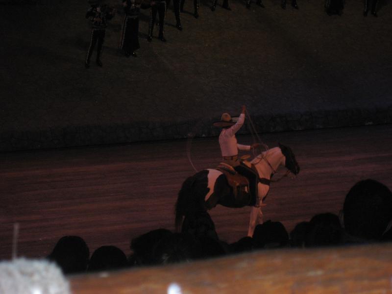IMG_2366.JPG