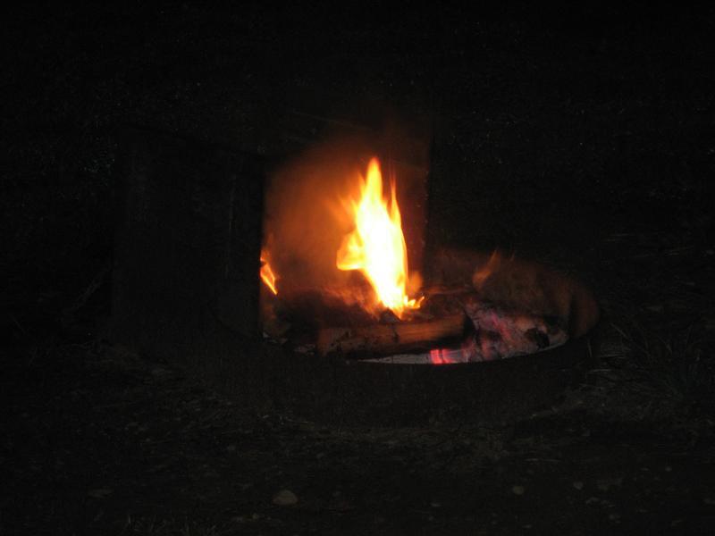 IMG_2858.JPG
