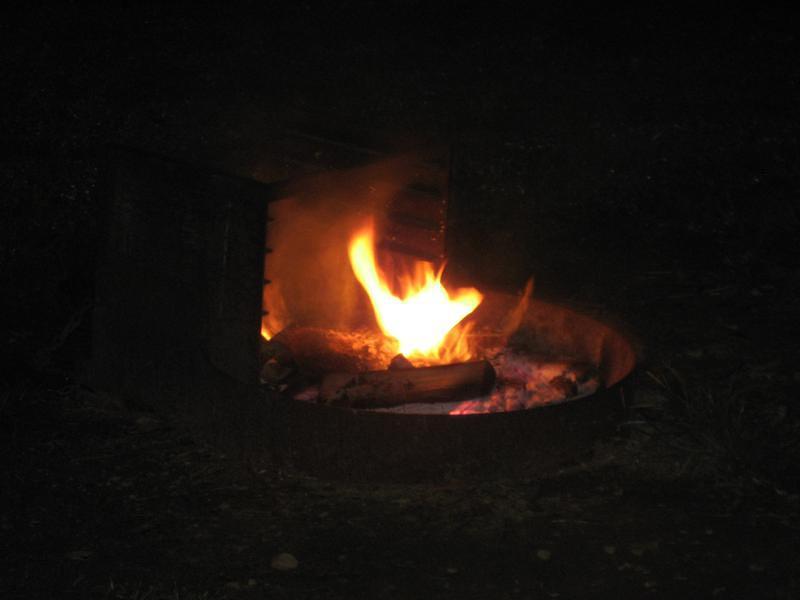 IMG_2859.JPG