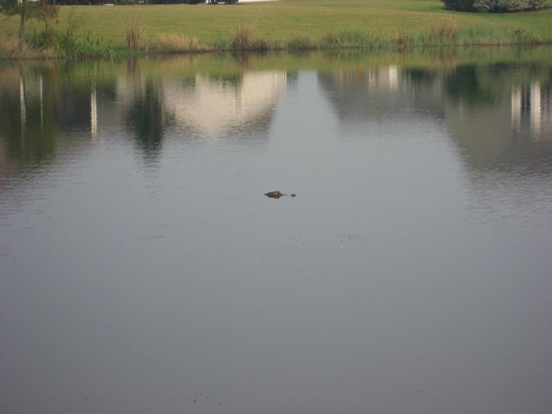 IMG_3024.JPG