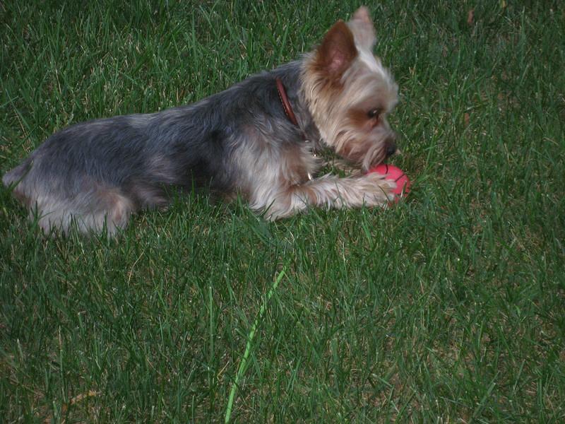 IMG_3188.JPG