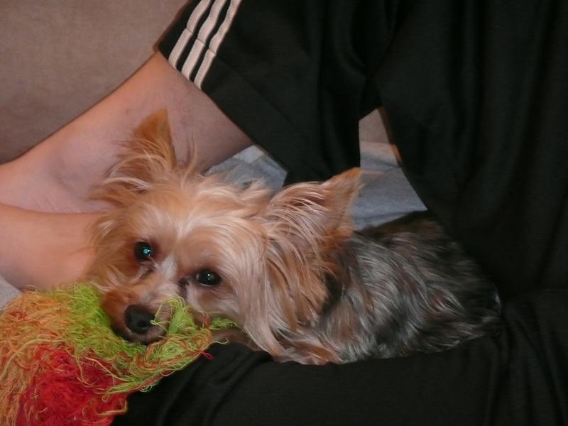 P1000099.JPG