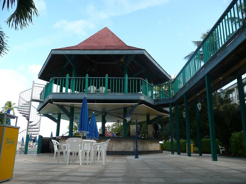 P1000227.JPG