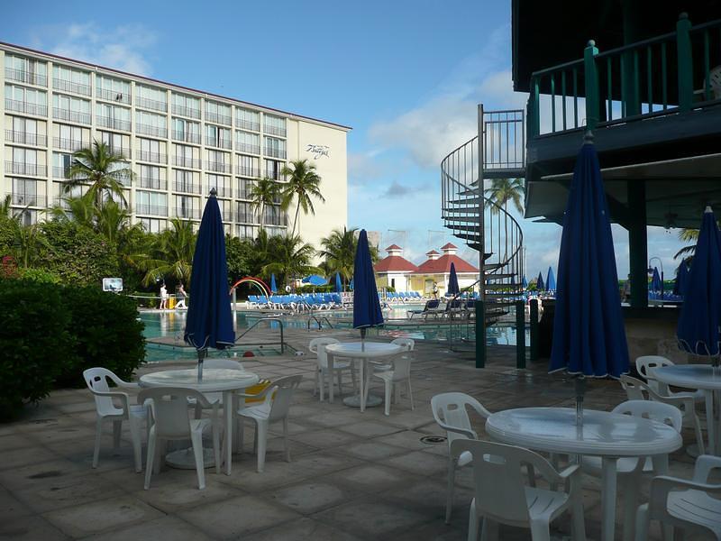 P1000228.JPG