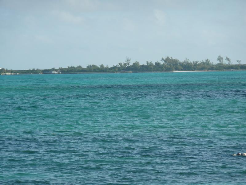 P1000235.JPG