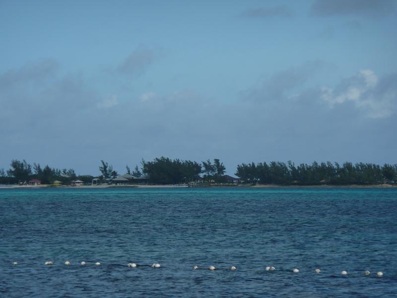 P1000241.JPG