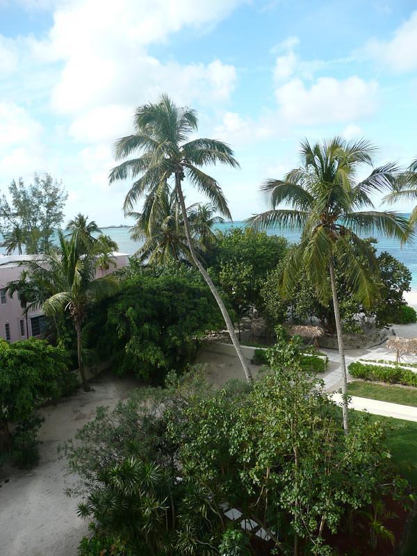 P1000250.JPG