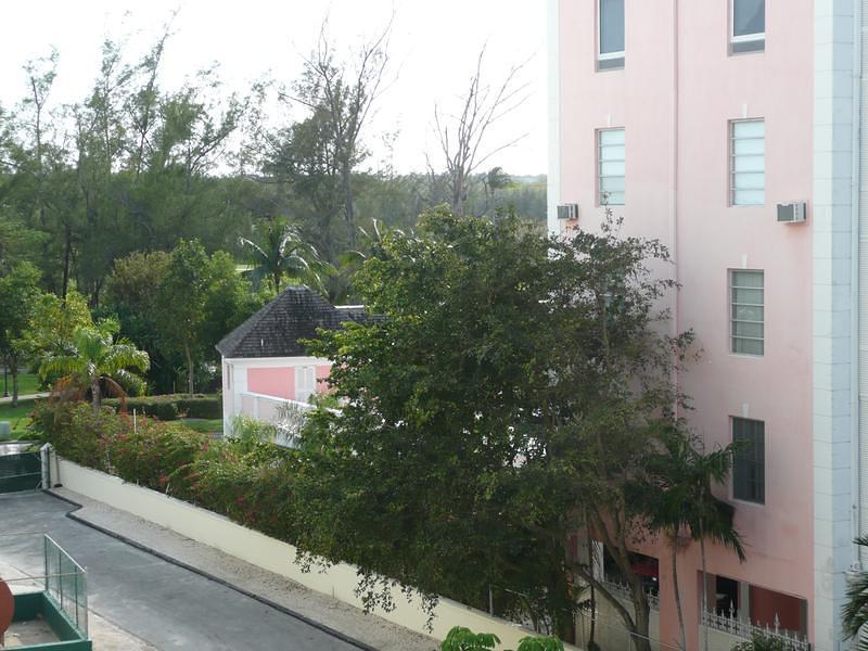 P1000252.JPG