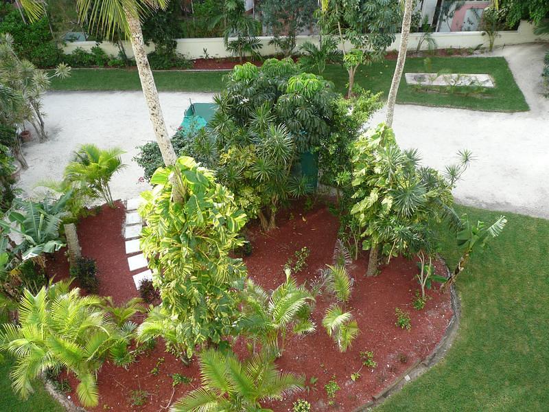 P1000253.JPG
