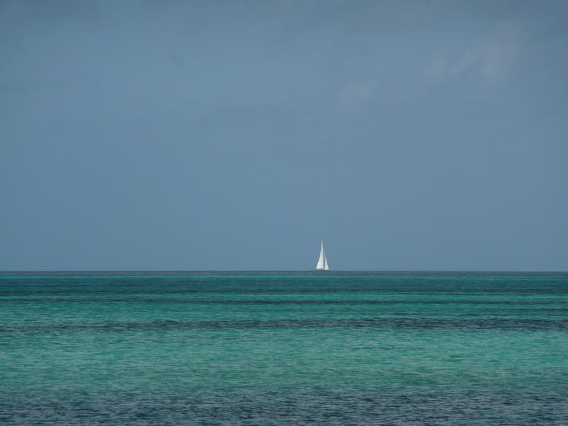 P1000276.JPG