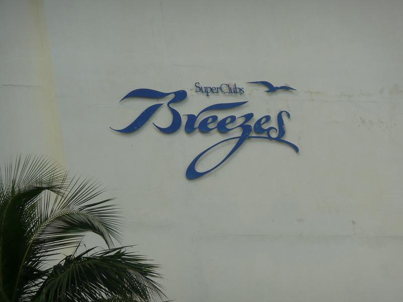 P1000289.JPG