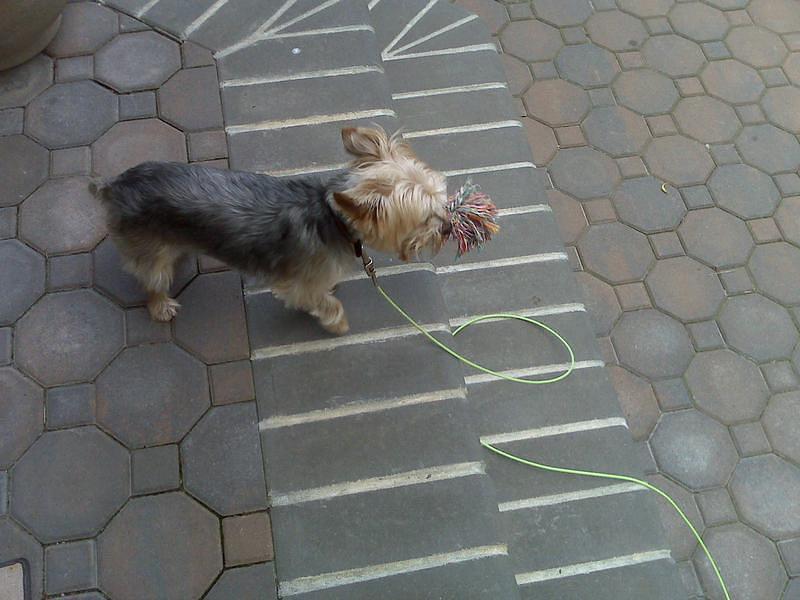 IMG00030.jpg