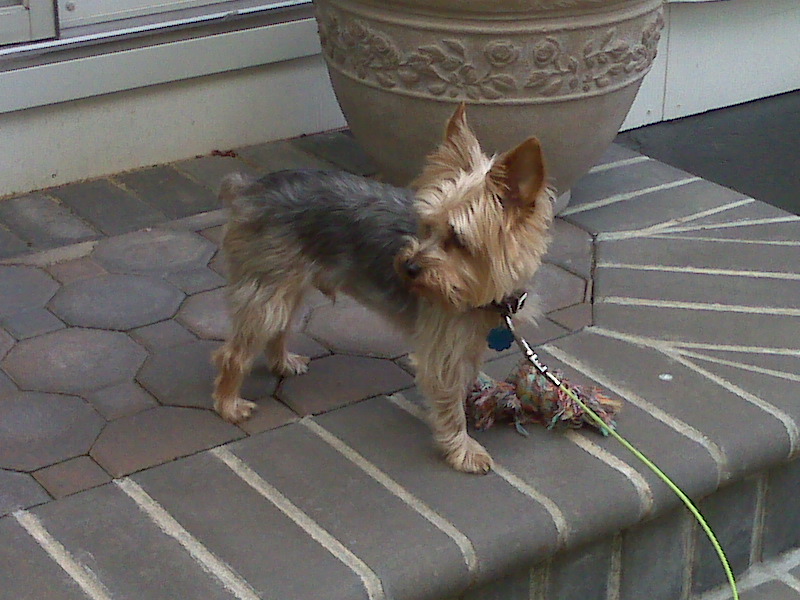 IMG00032.jpg