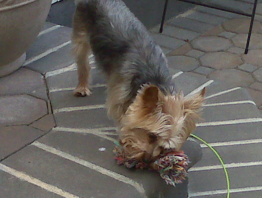 IMG00036.jpg