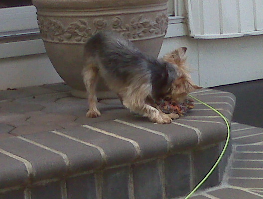 IMG00037.jpg