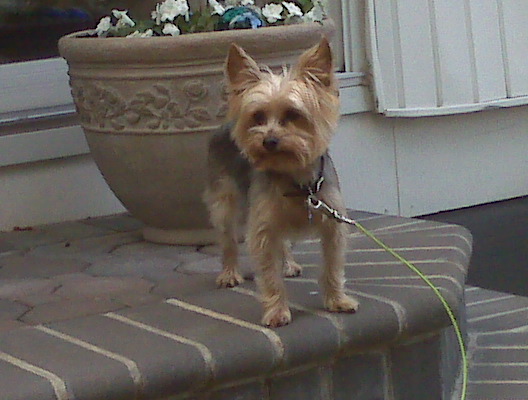 IMG00038.jpg
